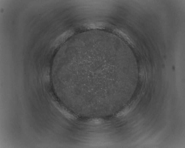 X0000071770402200606301200