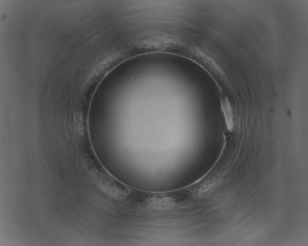 X0000071770403200606301200