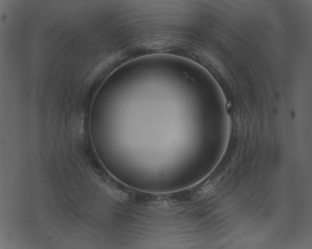 X0000071770404200606301200