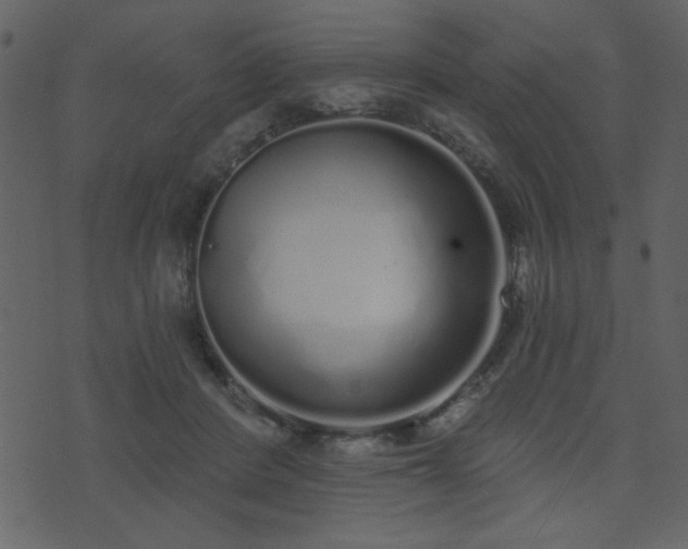 X0000071770408200606301200