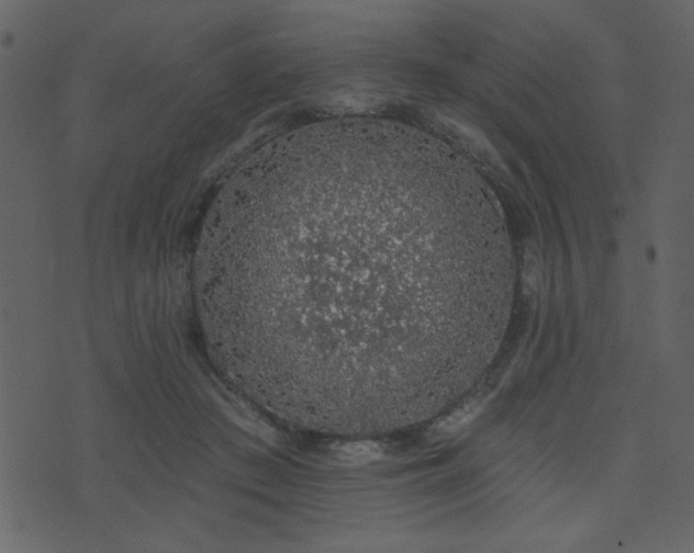 X0000071770409200606301200