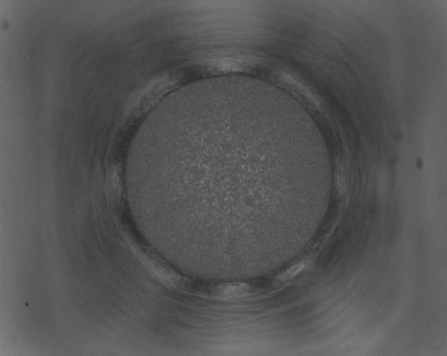 X0000071770410200606301200