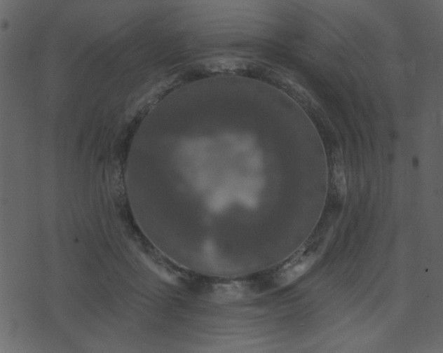 X0000071770411200606301200