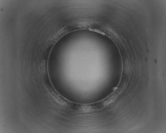 X0000071770413200606301200