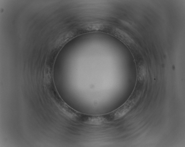 X0000071770414200606301200