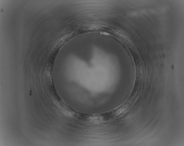 X0000071770415200606301200