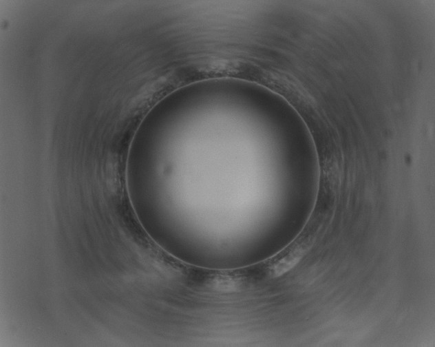 X0000071770416200606301200