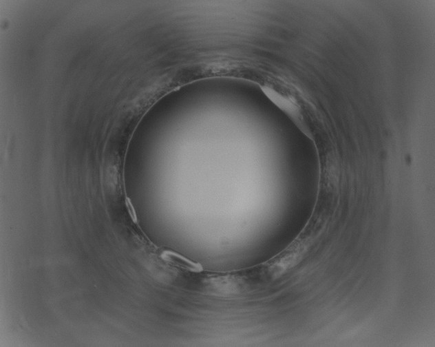 X0000071770417200606301200