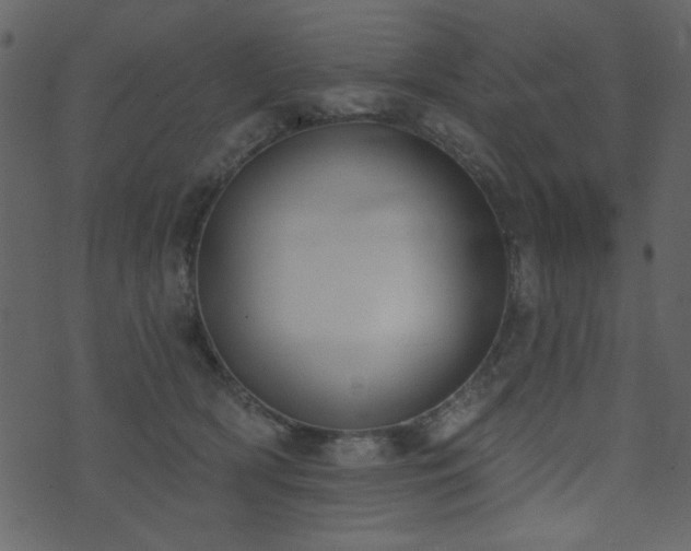 X0000071770418200606301200