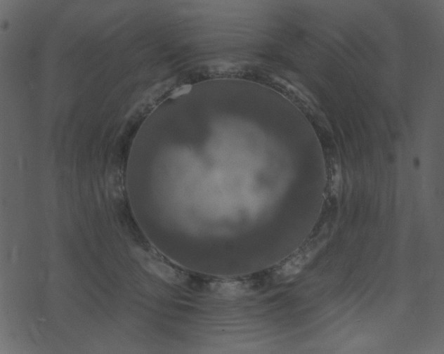 X0000071770419200606301200