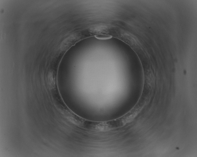 X0000071770420200606301200