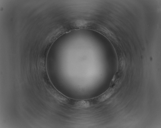 X0000071770421200606301200