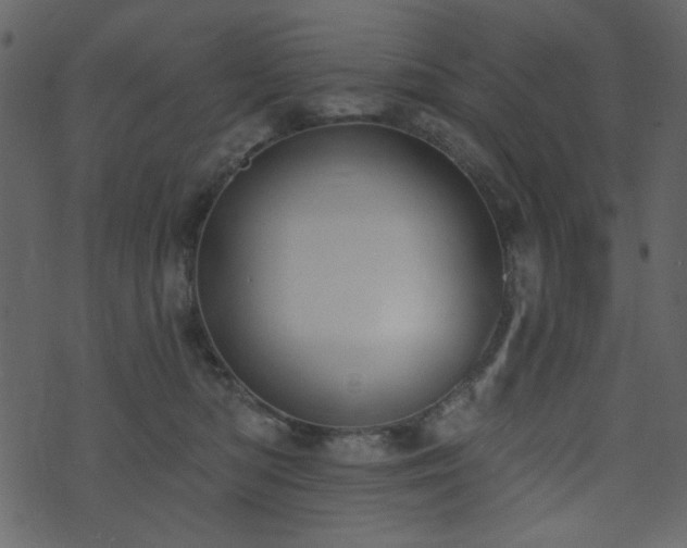 X0000071770422200606301200