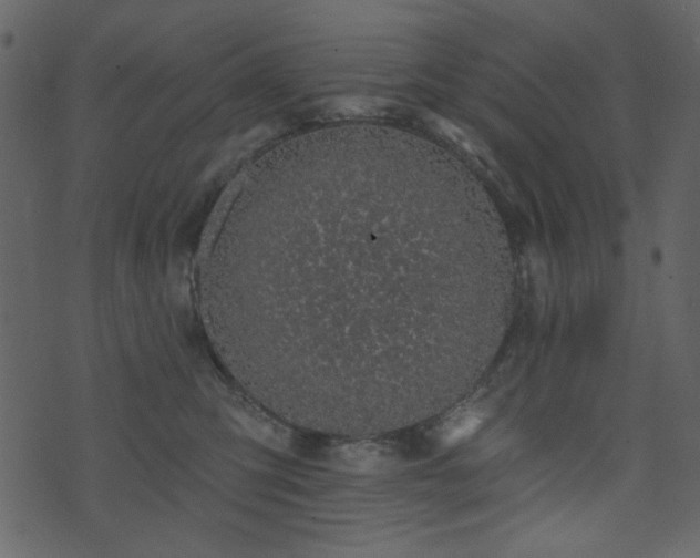 X0000071770423200606301200