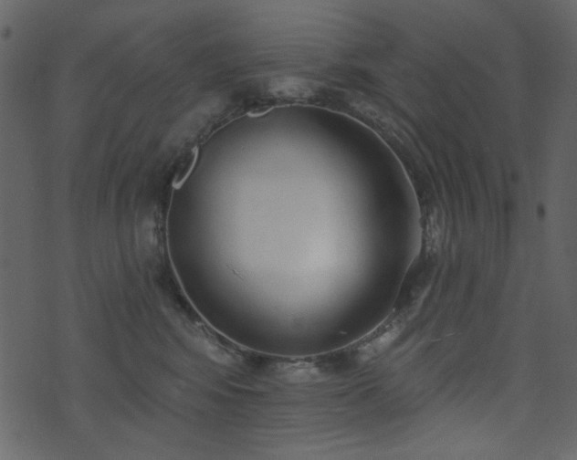 X0000071770424200606301200