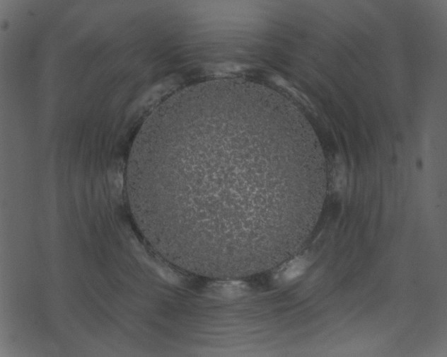 X0000071770427200606301200