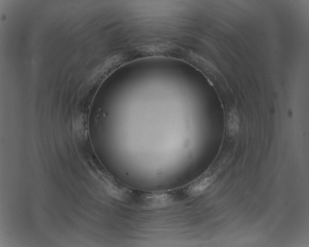 X0000071770428200606301200