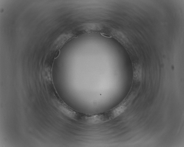 X0000071770430200606301200