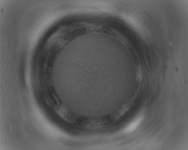 X0000071770431200606301200