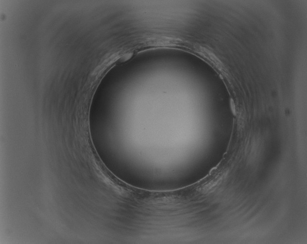 X0000071770433200606301159