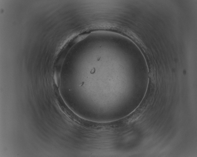 X0000071770434200606301159