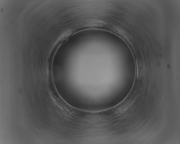 X0000071770435200606301159