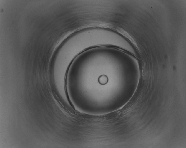 X0000071770436200606301159