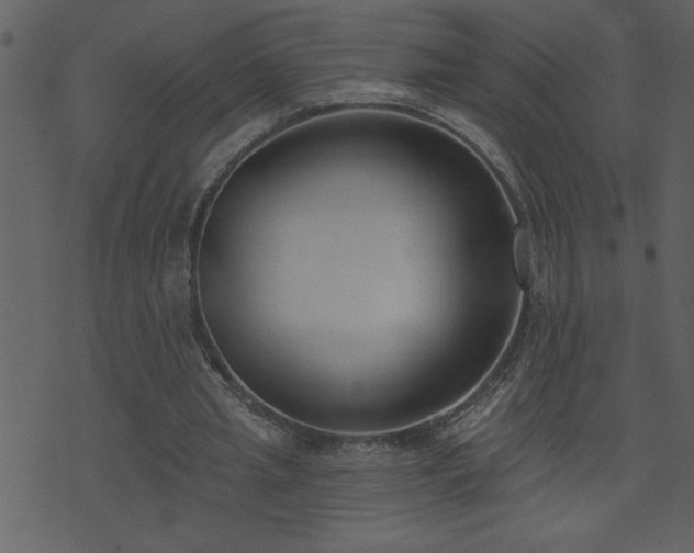 X0000071770437200606301159