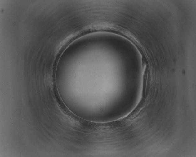 X0000071770438200606301159