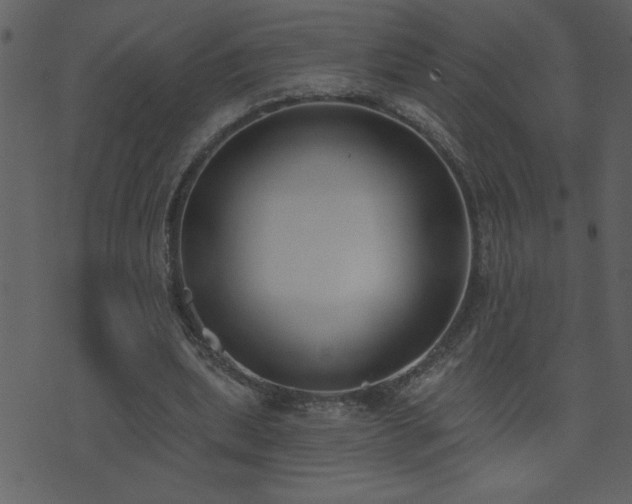 X0000071770439200606301159