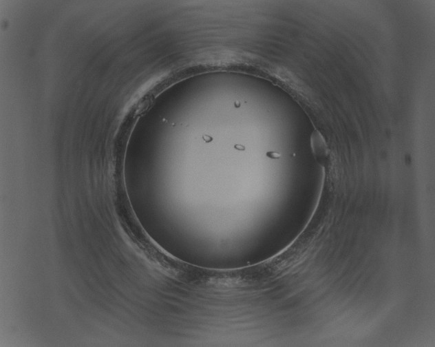 X0000071770440200606301159