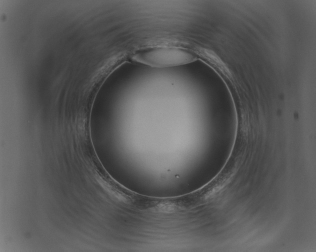 X0000071770441200606301159