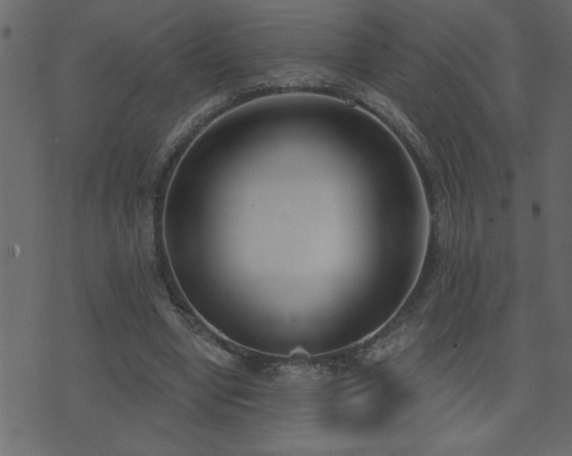 X0000071770442200606301159