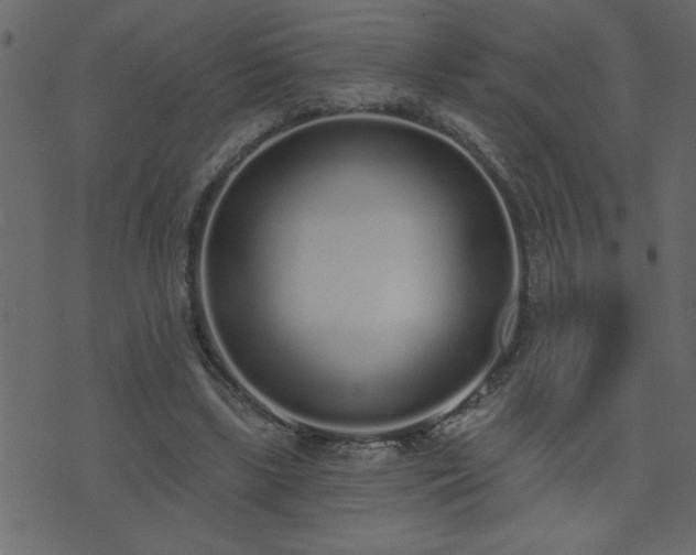 X0000071770443200606301159