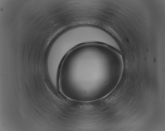 X0000071770444200606301159