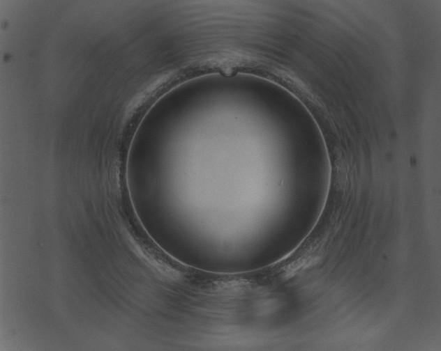 X0000071770446200606301159