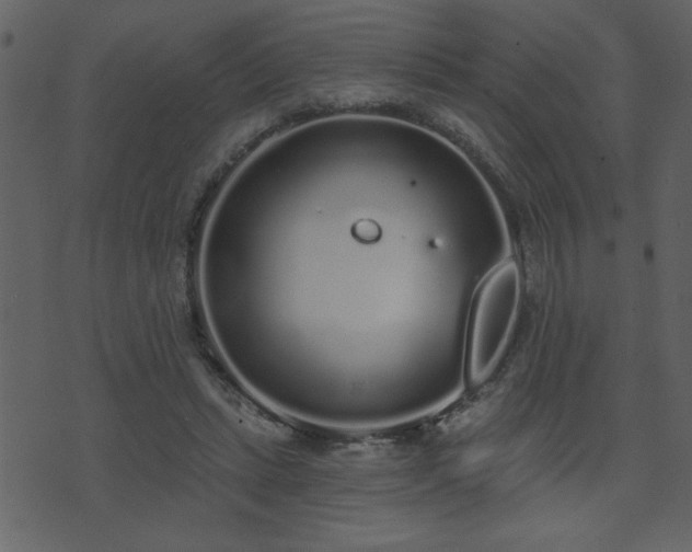 X0000071770447200606301159