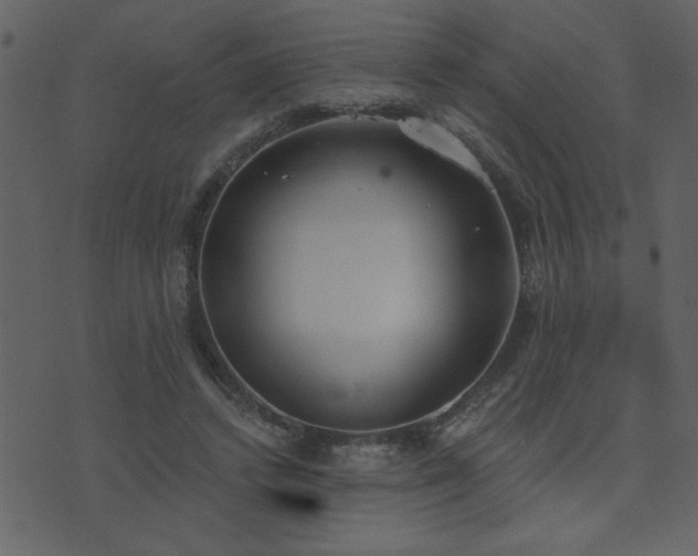 X0000071770448200606301159