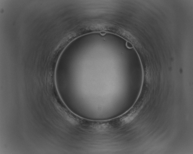 X0000071770449200606301159