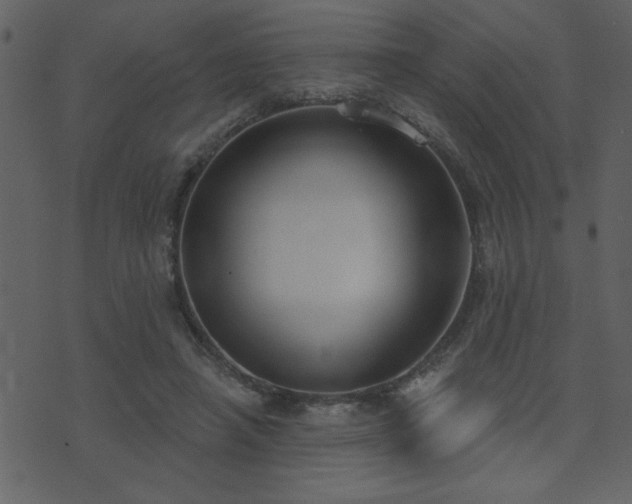 X0000071770450200606301159