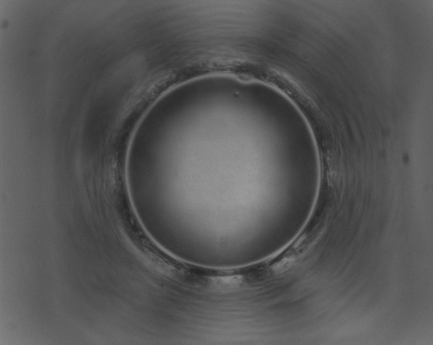 X0000071770451200606301159