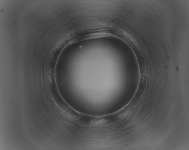 X0000071770452200606301159