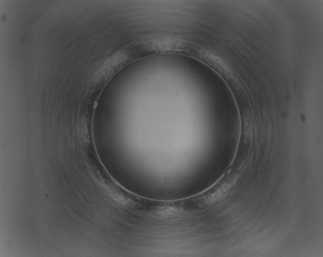 X0000071770453200606301159