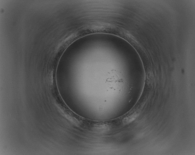 X0000071770454200606301159