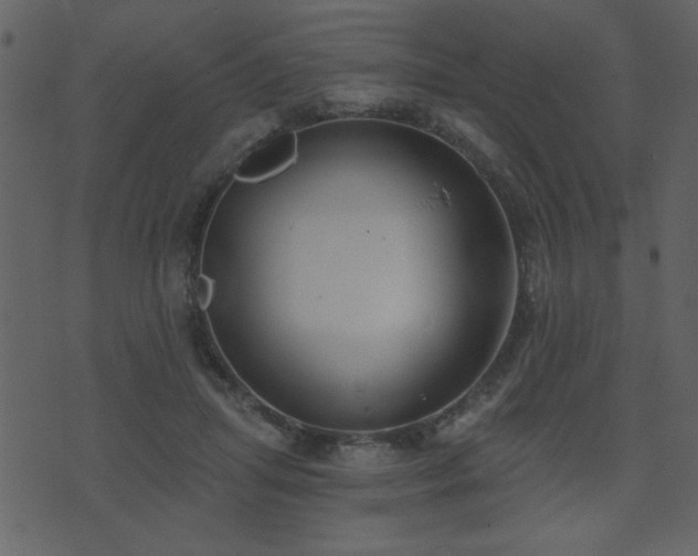 X0000071770455200606301159