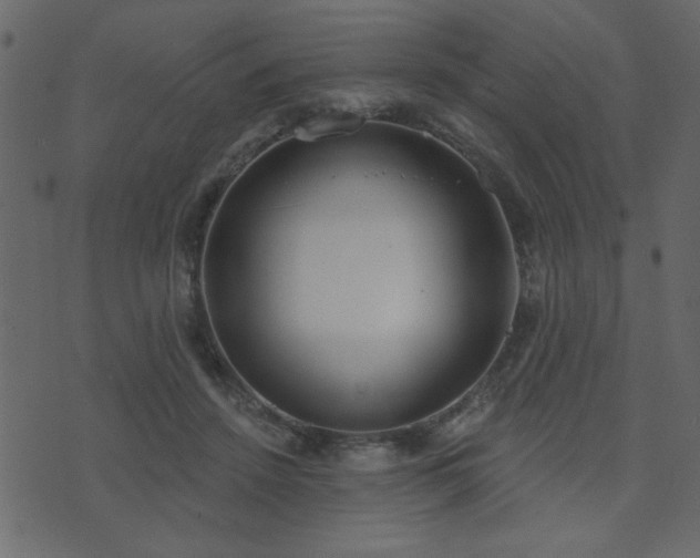 X0000071770456200606301159