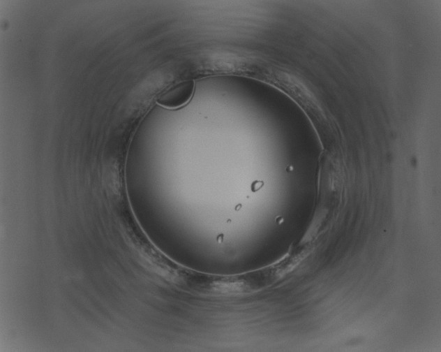 X0000071770457200606301159