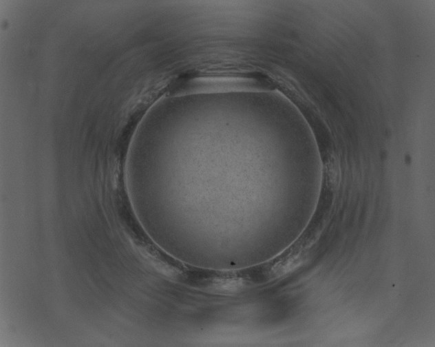 X0000071770458200606301159