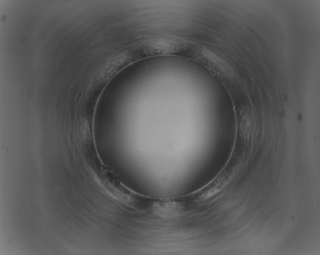 X0000071770459200606301159