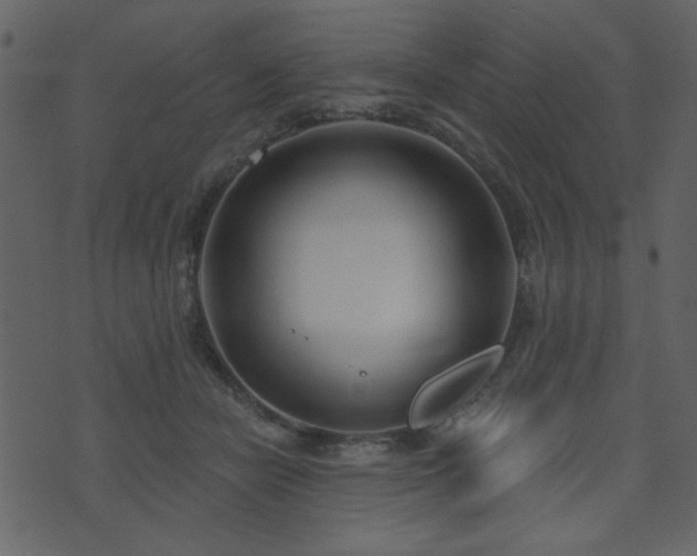 X0000071770462200606301159